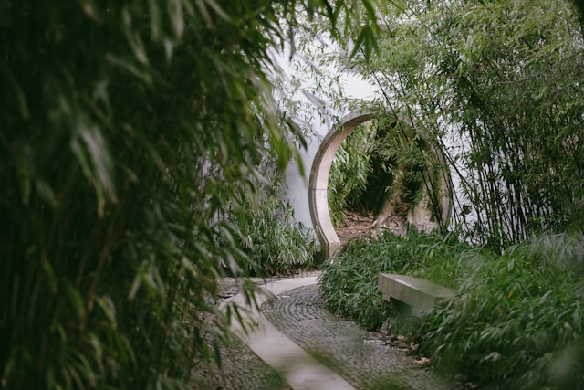 a path between gardens